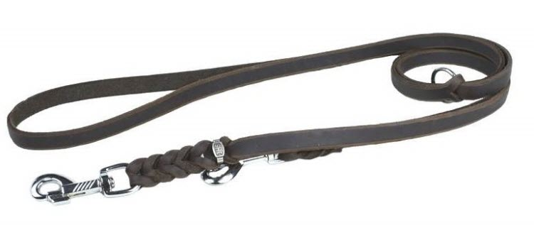 JHS Führleine 2-Fach verstellbar 15mm/240cm