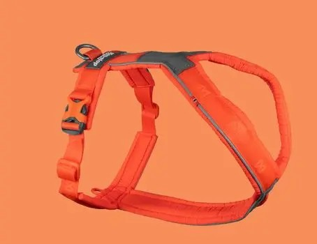 Non-Stop Line Harness 5.0, orange, 2