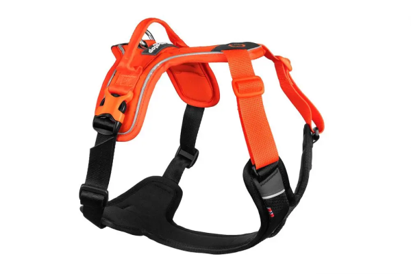 Non-Stop Ramble Harness, Orange/ Black, XL