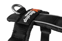 Non-Stop Line Harness 5.0, teal, 6