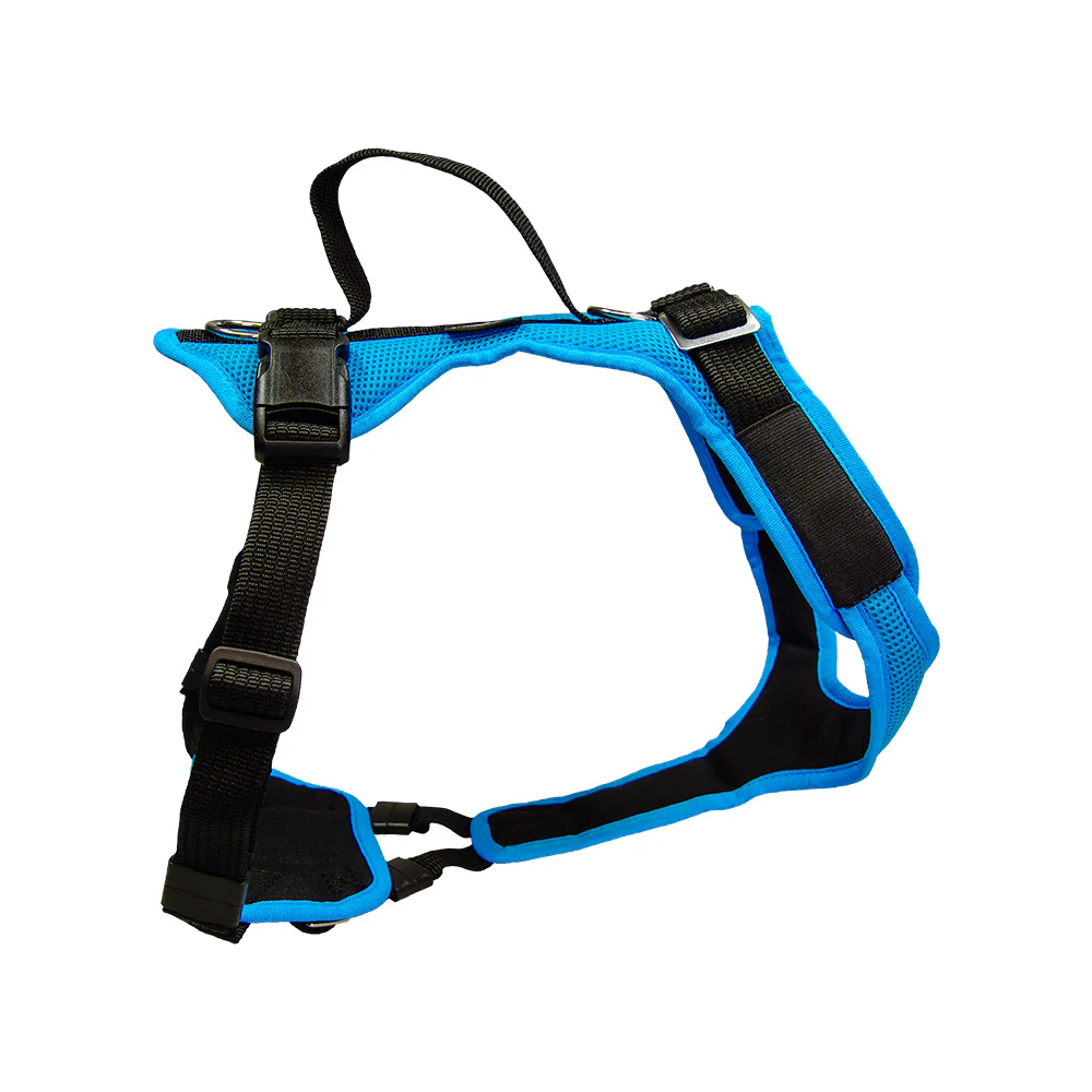 Grossenbacher Hundegeschirr Vary S-XXS / 10-22kg türkis/türkis