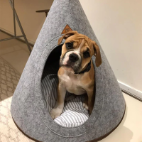 PET&CO Tonto - Luxury Dog and Cat Tipi Felt Gray