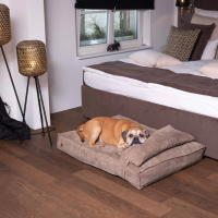 PET&CO Cordi – Khaki 80x60x15cm