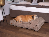 PET&CO Cordi – Khaki 80x60x15cm