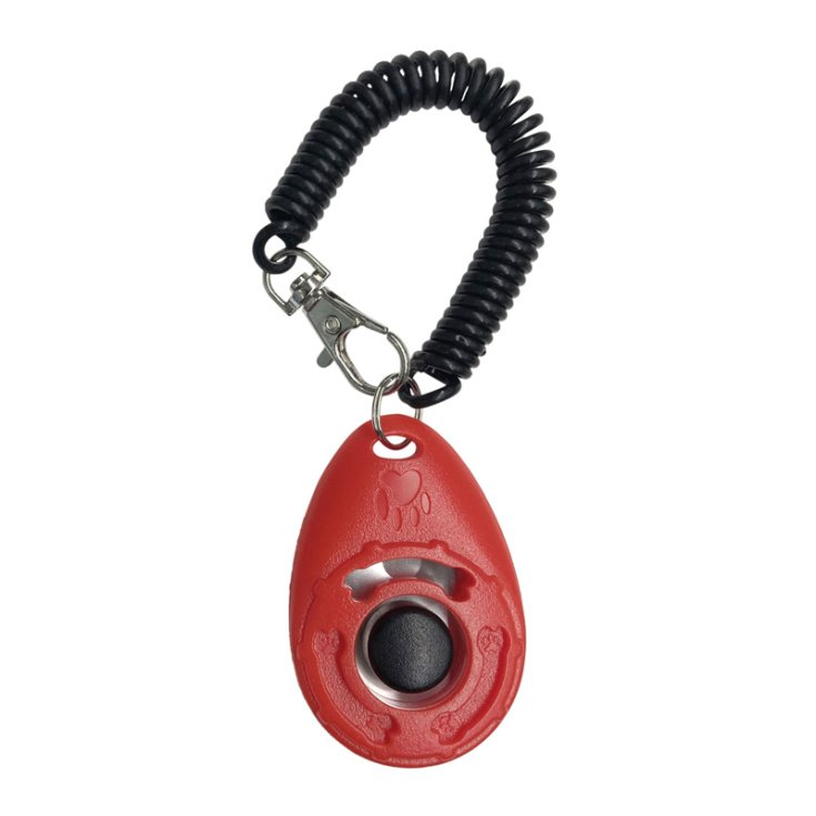 Record Clicker für Hundetraining, rot