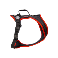 Grossenbacher Fun Run Dackel Gr. 3XS schwarz mit roter Borde