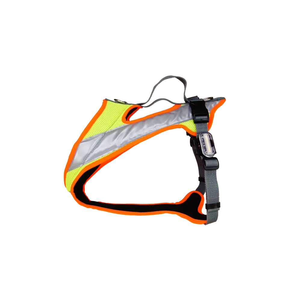 Grossenbacher Dog's Fun Run Hundegeschirr Night Gr.S Gelb/Orange und 2 LED
