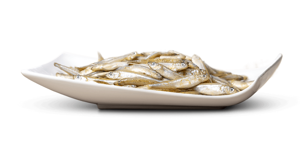 Big Pet Fischli ganz “Stint“ lose 450g