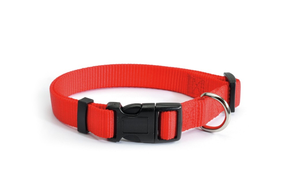 Camon Klickverschluss verstellbares Halsband, rot,  18mm breit