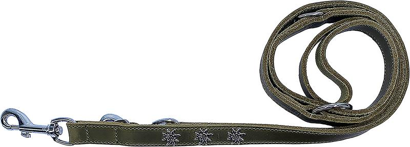 KMY Lederleine soft matt olive grün, Dekor Edelweiss 180cm lang 20mm