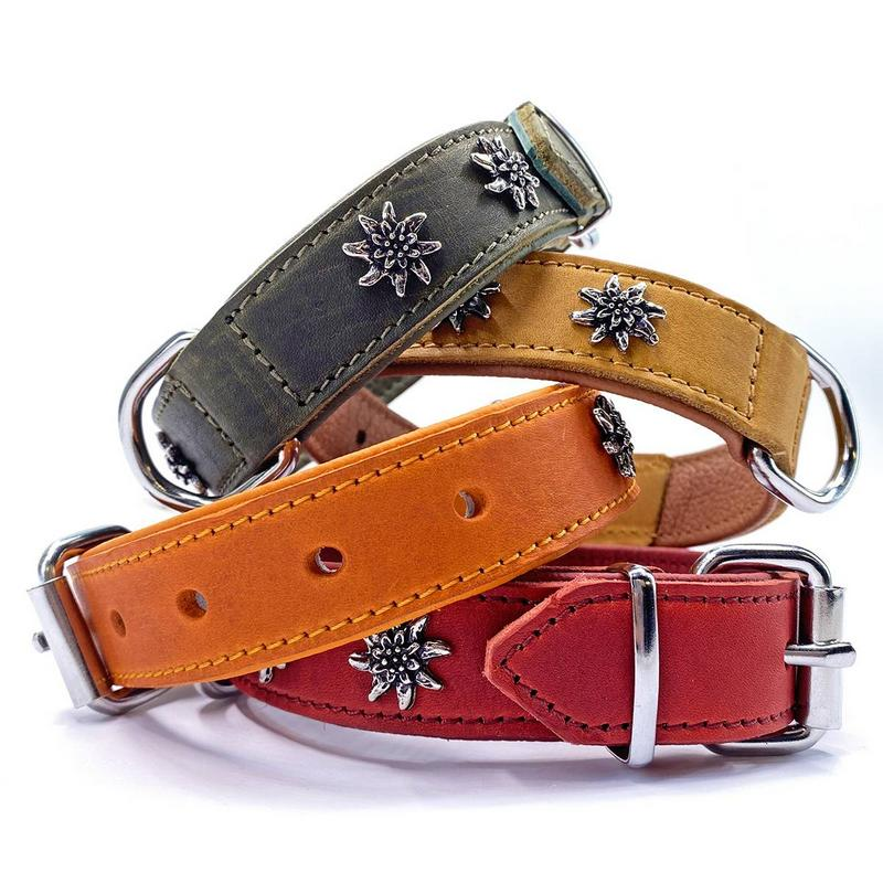 KMY Lederhalsband mit Lederfutter Edelweissdekor 25mm/55cm matt olive grün