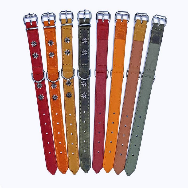 KMY Lederhalsband mit Lederfutter Edelweissdekor 25mm/55cm matt olive grün
