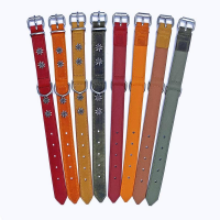 KMY Lederhalsband mit Lederfutter Edelweissdekor 25mm/55cm matt olive grün