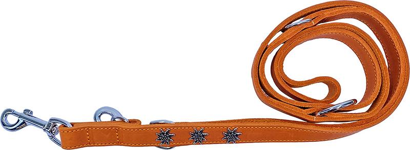 KMY Lederleine Edelweissdekor 180cm 20mm, matt orange