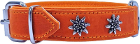 KMY Lederhalsband mit Lederfutter Edelweissdekor 50cm 25mm orange