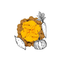 Kyli steam cooked orange 200g, Kürbis, Karotte, Süsskartoffel