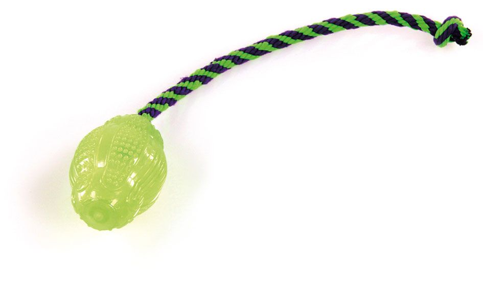 SwissPet TPR-Football Glow mit Seil S