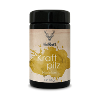 Heilkraft kraftpilz hericium