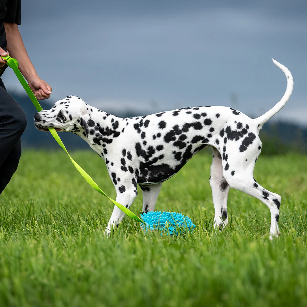 dingo Mop Boudin lang türkis/grün, Spielzeug mit Zotteln 130cm