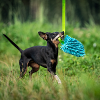 dingo Mop Boudin lang türkis/grün, Spielzeug mit Zotteln 130cm