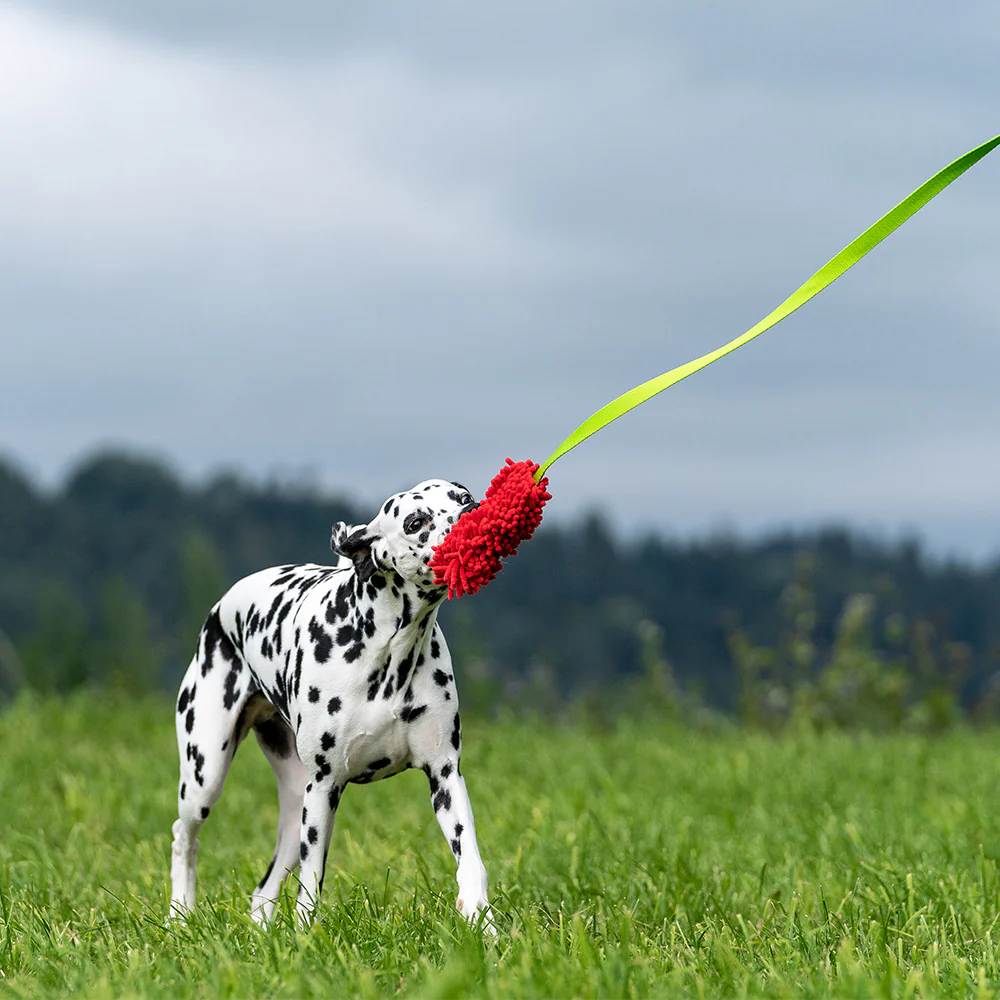 dingo Mop Boudin lang rot/grün, Spielzeug mit Zotteln 130cm