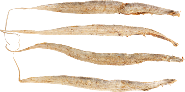 NaturNah ES Grönlandfisch