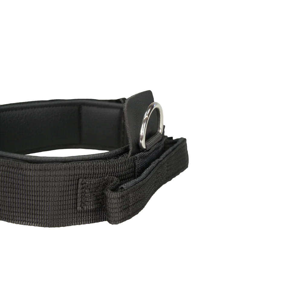 Grossenbacher Hetzhalsband Profi 40mm Gr.M , 40-55cm