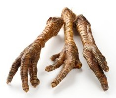 NaturNah N04 Puten Fuss