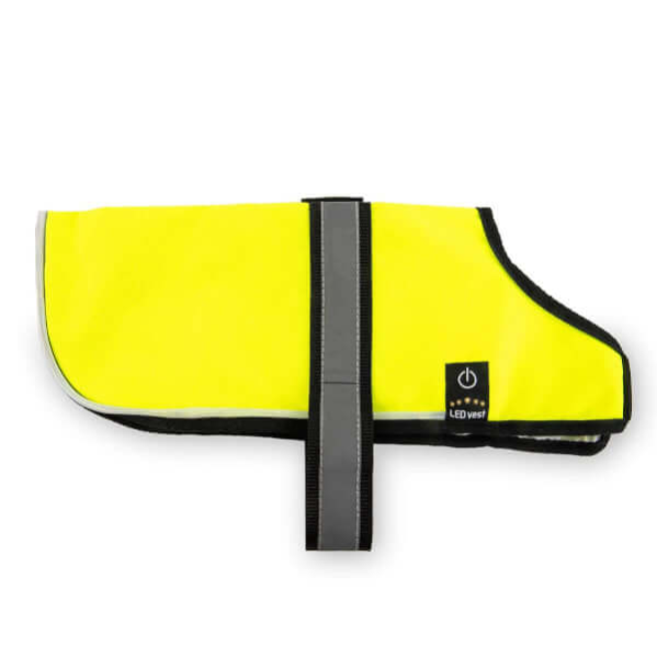 Leuchtweste & Leuchtgeschirr Hund