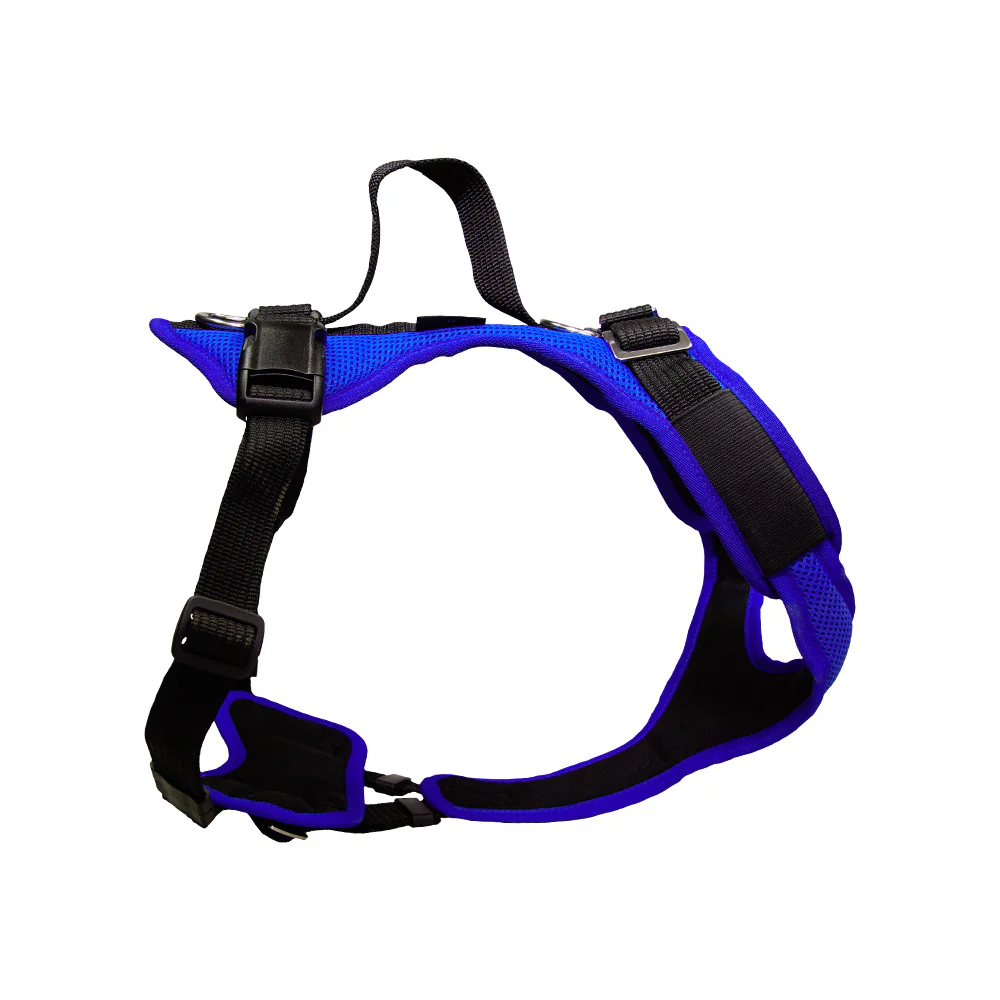 Grossenbacher Hundegeschirr Vary unifarben 3XS-5XS royalblau/royalblau