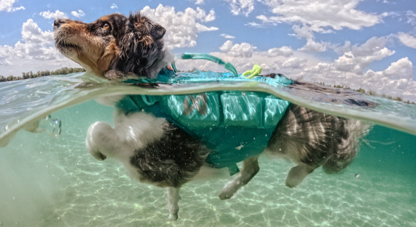 Non-Stop Schwimmweste Protector Vest GPS