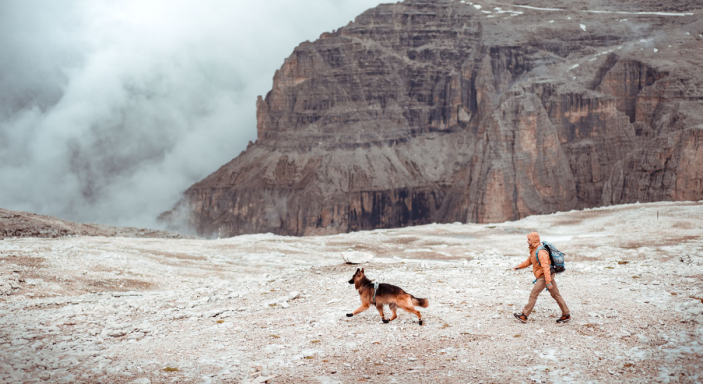 Non-Stop Protector Booties, 4 Stk.*, L