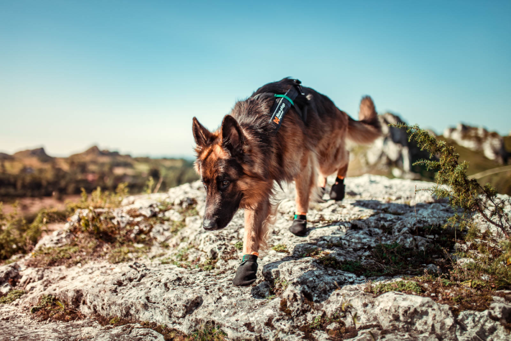 Non-Stop Protector Booties, 4 Stk.*, L