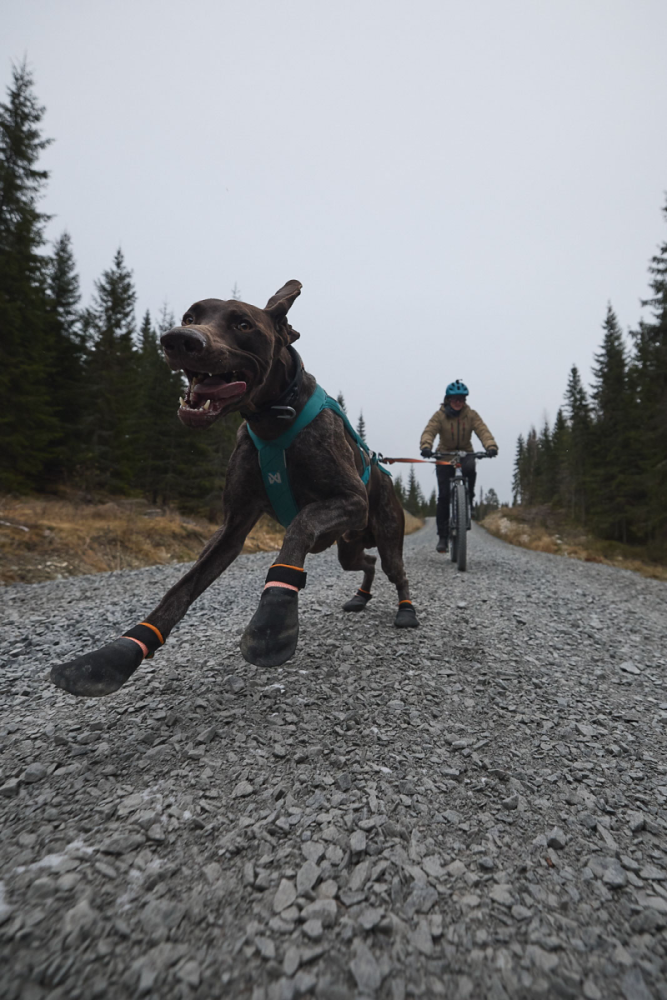 Non-Stop Protector Booties, 4 Stk.*, L