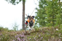 Non-Stop Protector Vest GPS, L