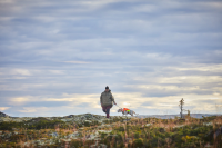 Non-Stop Protector Vest GPS, L