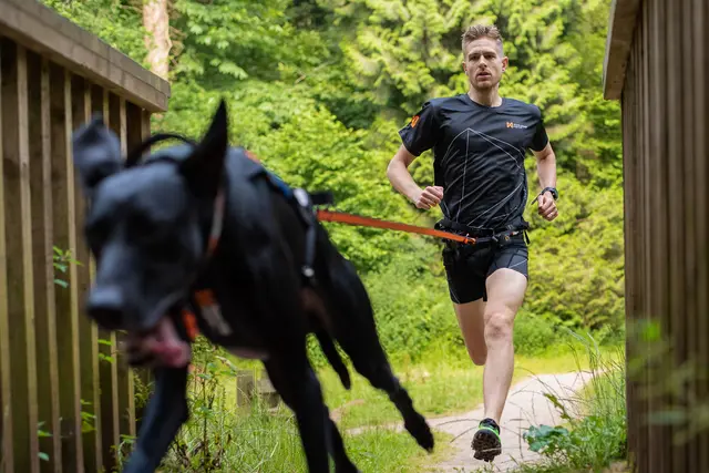 Non-Stop Bungee Leash, 2,8m