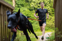 Non-Stop Bungee Leash, 2,8m