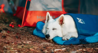 Non-Stop Ly Sleepingbag for dog, M