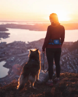 Non-Stop Ferd Belt, M