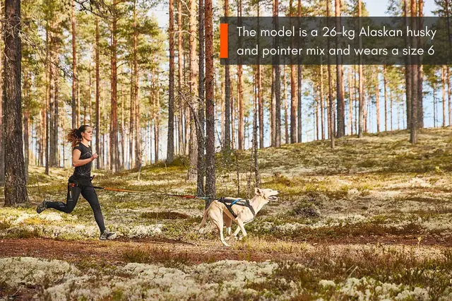 Non-Stop Freemotion Harness, 6