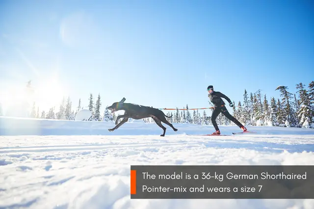 Non-Stop Freemotion Harness, 7