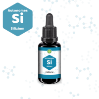 Naturu Autonomes Element