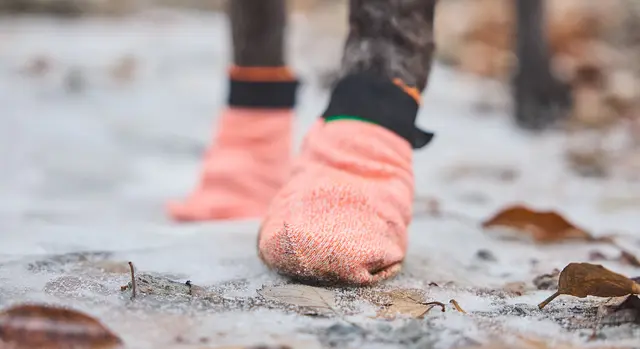 Non-Stop Protector light socks, orange, L