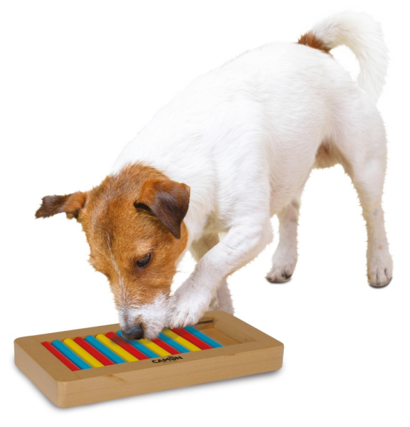 Camon Activity Spiel für Hunde 26 x 15 cm