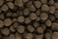 Iso-Dog Iso-Dog Adult Sensitive Lamm & Reis 2kg