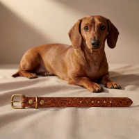 Doggy with Style Hundehalsband Leder mit Schnalle Floralis-schmal M Cognac