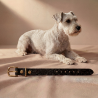 Doggy with Style Hundehalsband Leder mit Schnalle Floralis-schmal XXS Schwarz