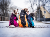 Non-Stop Glacier Jacket 2.0 purple, 33