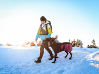 Non-Stop Glacier Jacket 2.0 purple, 33